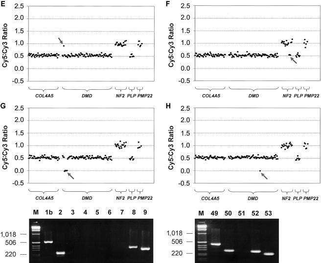 Figure  3