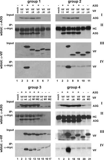 FIG. 3.