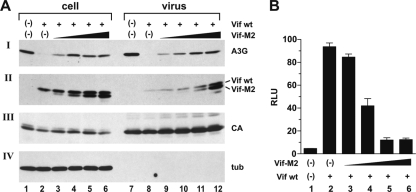 FIG. 5.