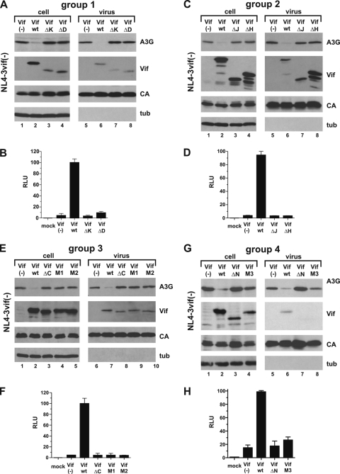 FIG. 2.