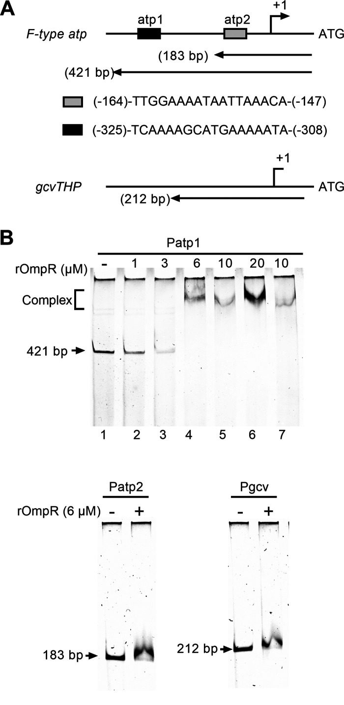 FIG 6