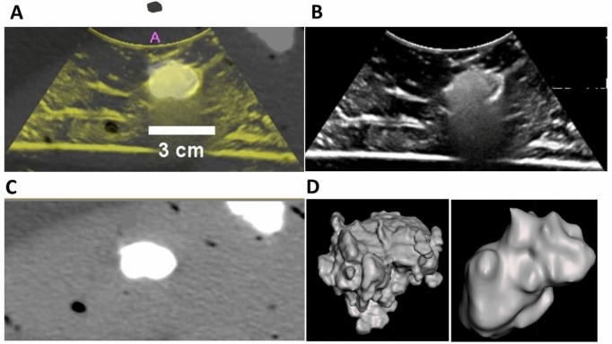 Fig.9