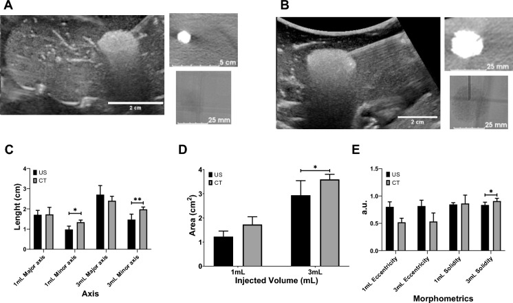 Fig.8