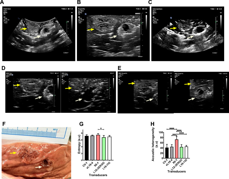 Fig.6