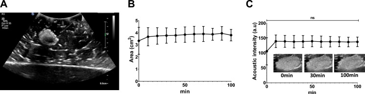 Fig.7