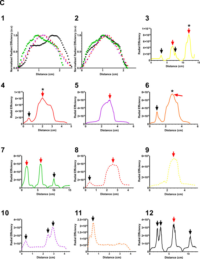 Fig.12