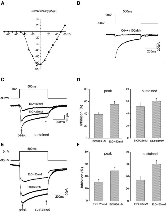 Figure 11.