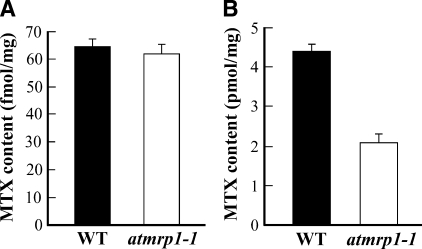 FIGURE 9.