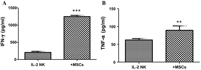 Fig. 7