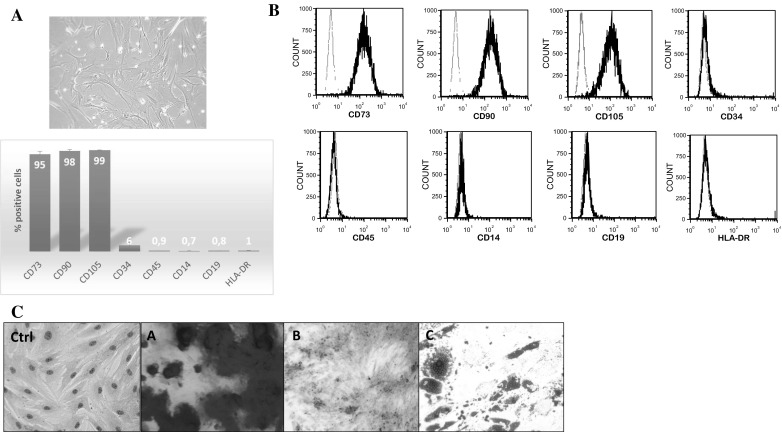 Fig. 1