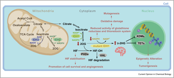 Figure 2