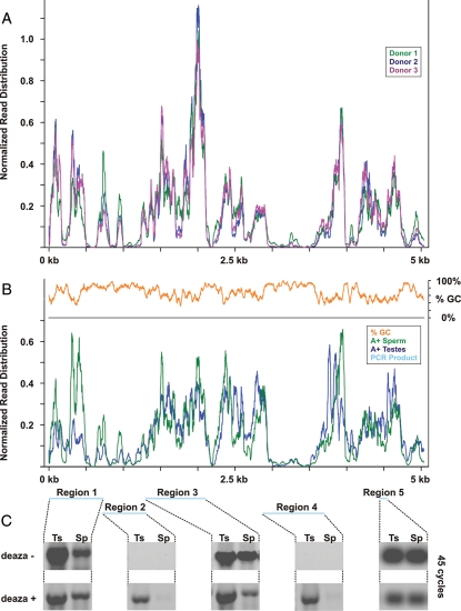 Figure 2