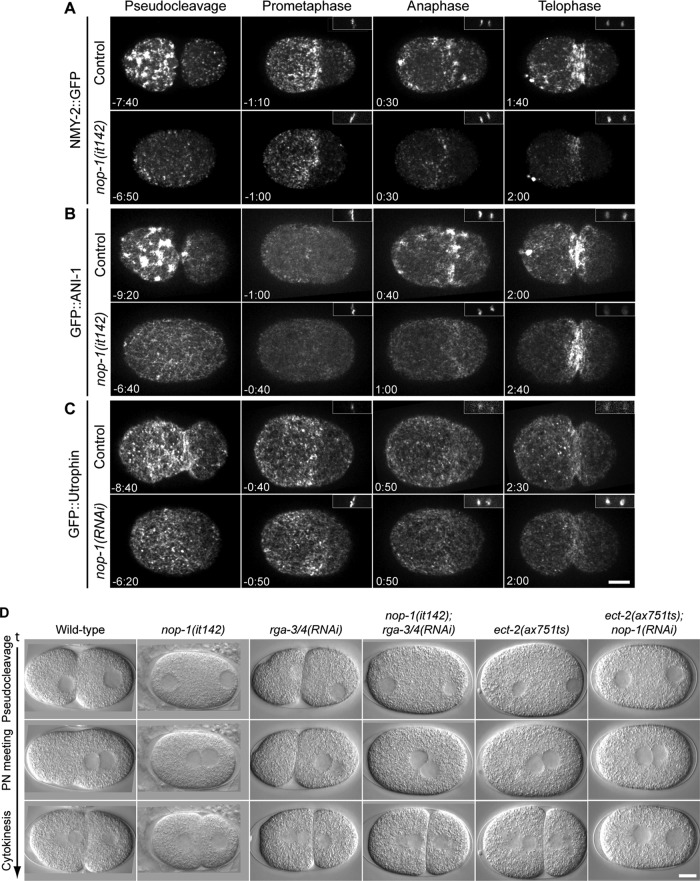 FIGURE 3: