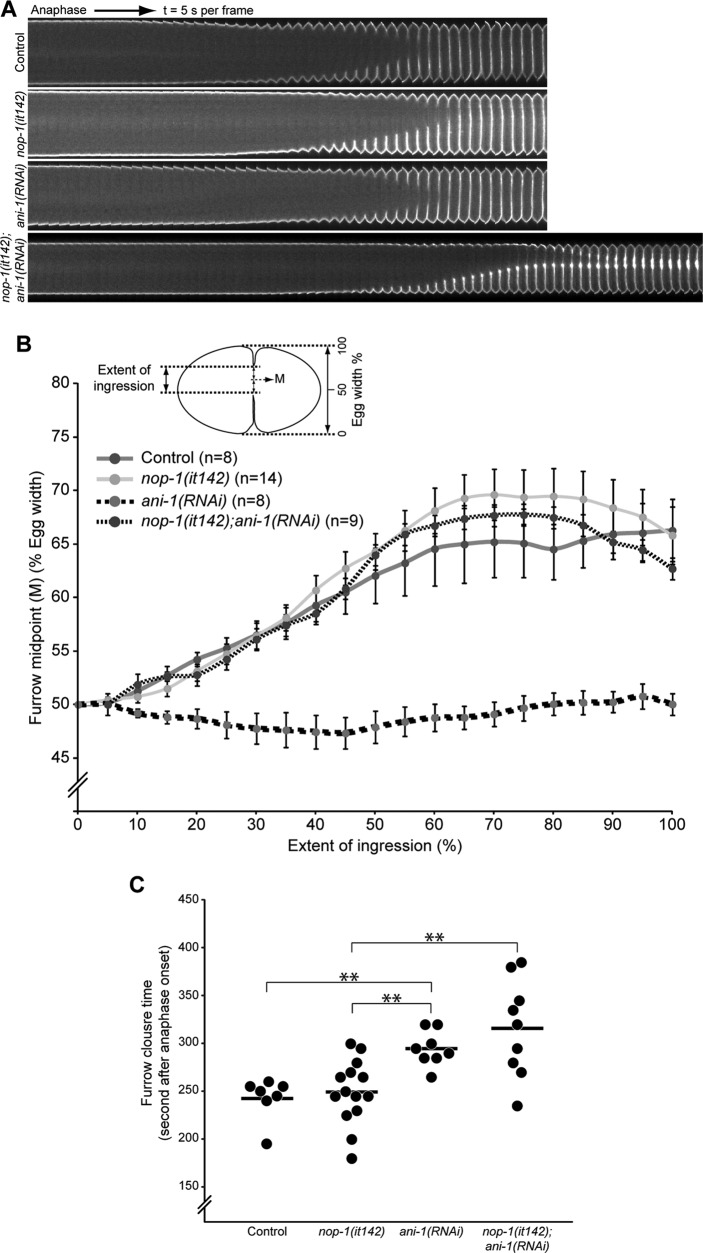 FIGURE 6: