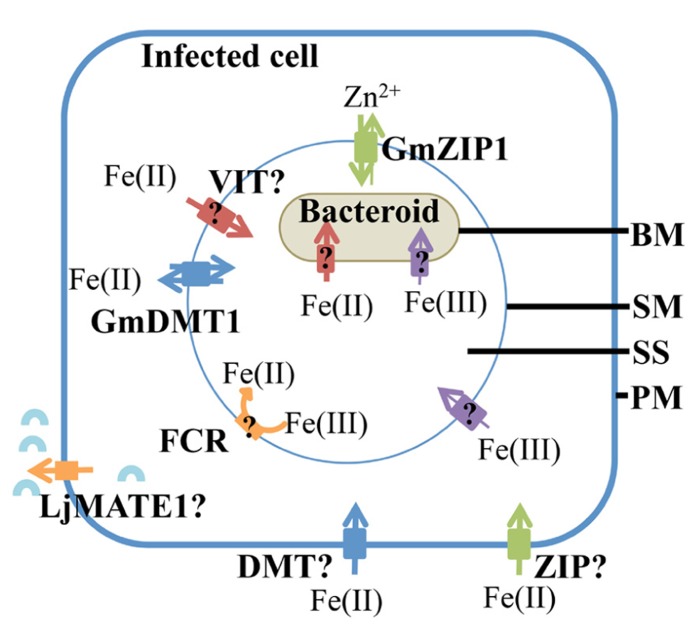 FIGURE 3