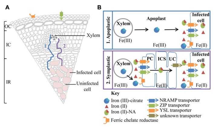 FIGURE 2