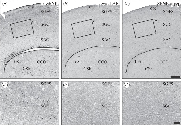 Figure 6.