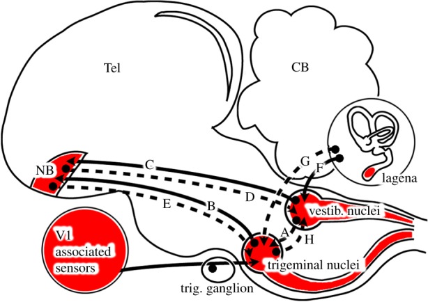 Figure 5.