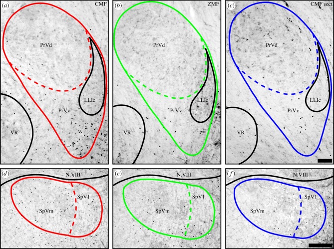 Figure 1.