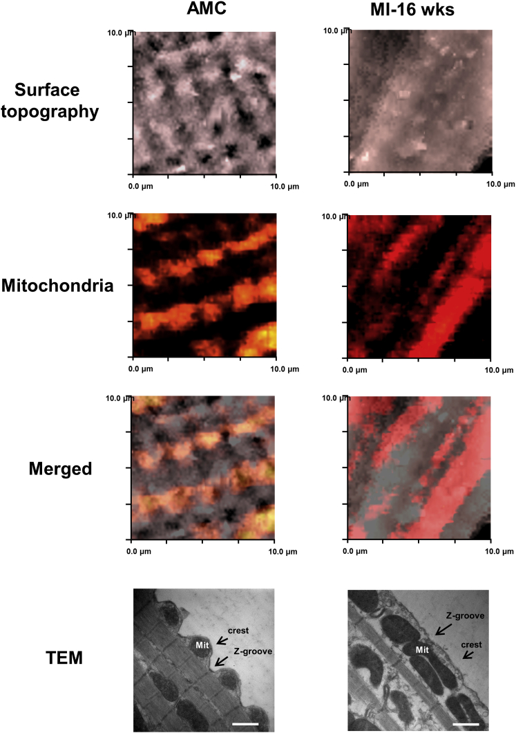 Figure 4