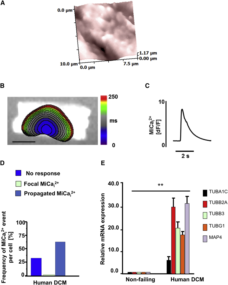 Figure 6