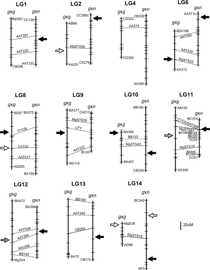 Figure 3.—