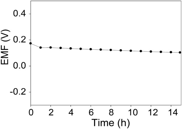 Fig. 6