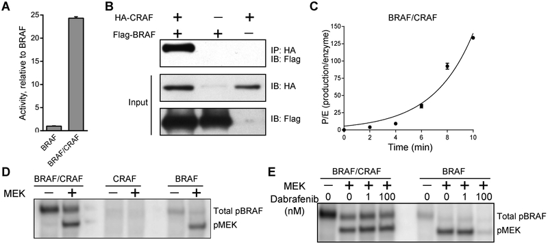 Figure 6: