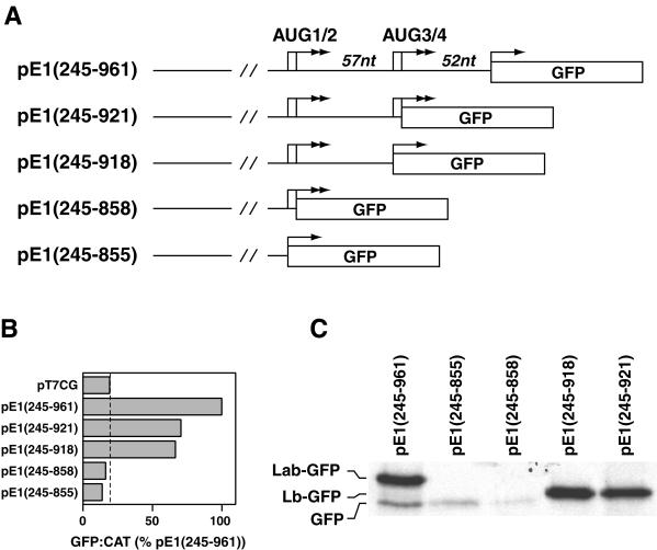 FIG. 7