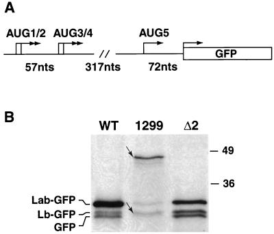 FIG. 6