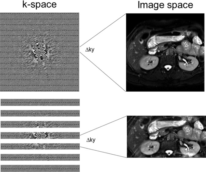 Figure 19