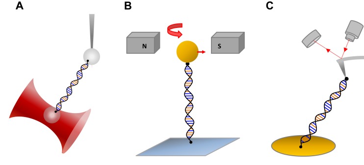 Figure 3.