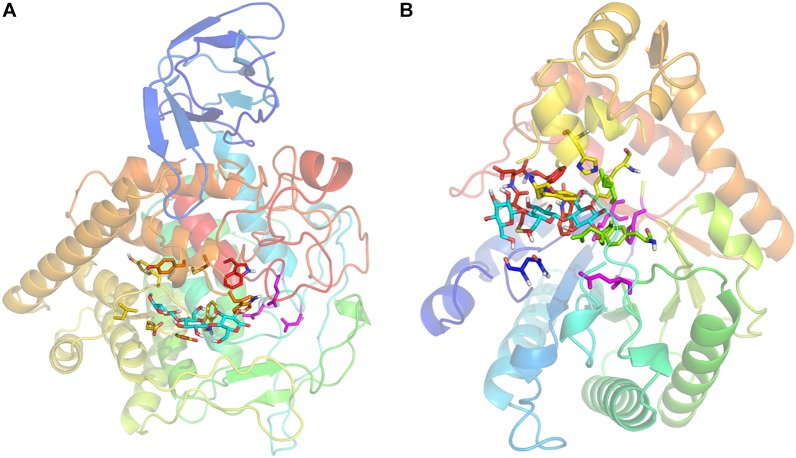 FIGURE 4