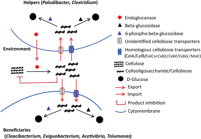 FIGURE 6