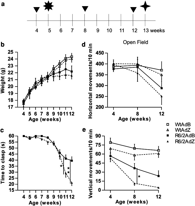Fig. 3