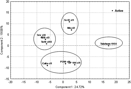 Fig. 3.