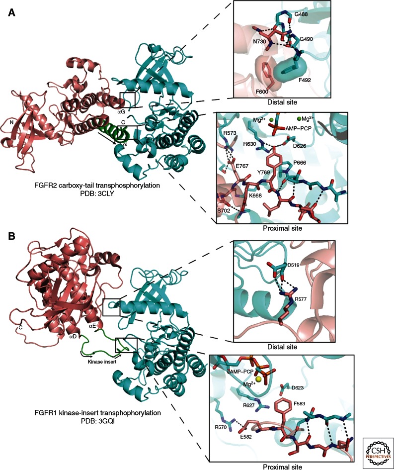 Figure 6.