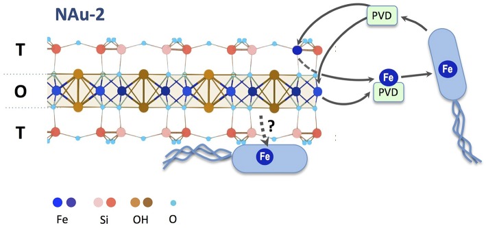 Figure 7