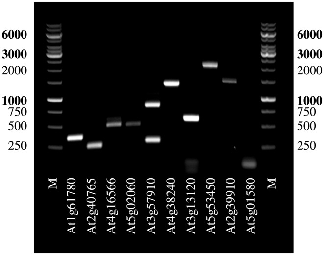 Figure 3.