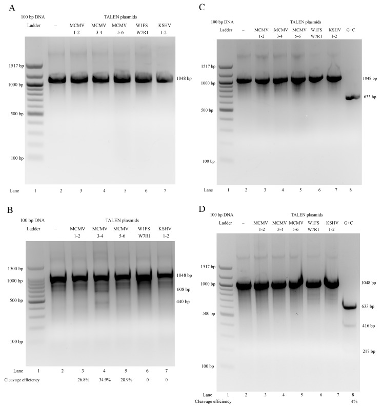 Figure 7