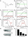 Fig 1.