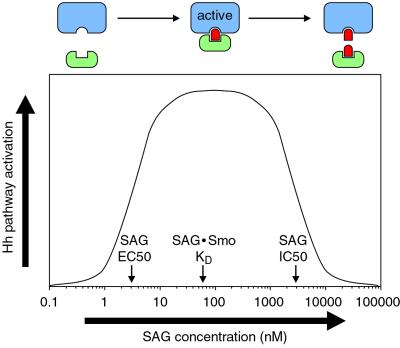 Fig 4.