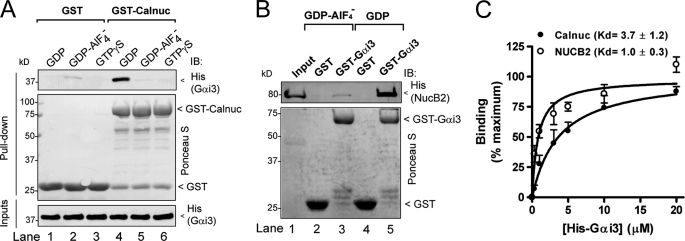 FIGURE 2.