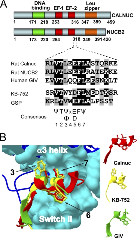 FIGURE 1.