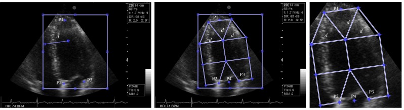 Fig. 3