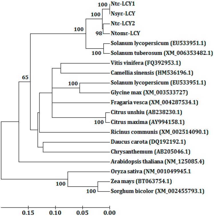 Figure 2