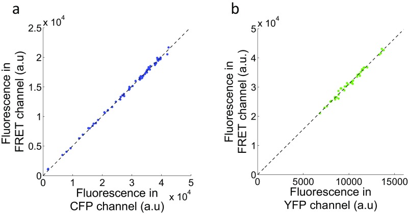 Fig. S1.