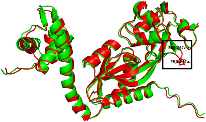 FIGURE 3