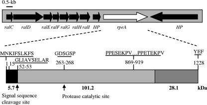 FIG. 1.