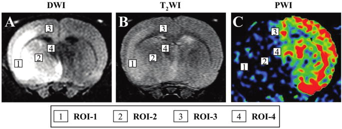 FIG. 5